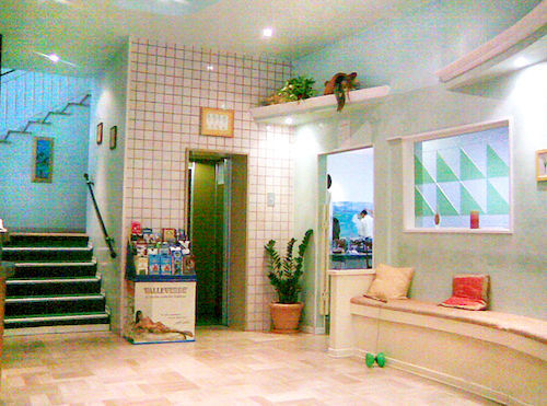 Holiday Hotel 3*